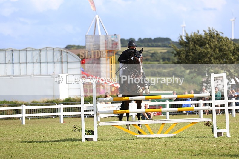 3E7A3699 - Class B: Showjumping Accumulator
