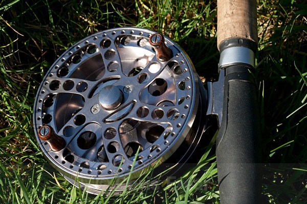 mnaa-4027 - Flyfishing Photography