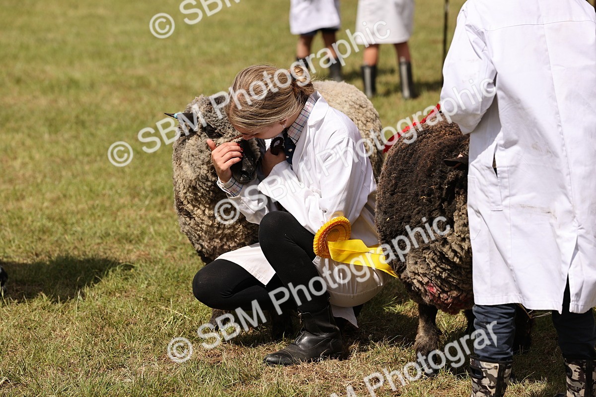 SBM_16925 - Grand Parade