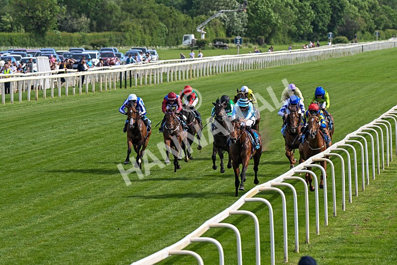 230526-Race 6-Pearl River-0591 - Race 6 16.25pm Royal Yorkshire Regiment Handicap