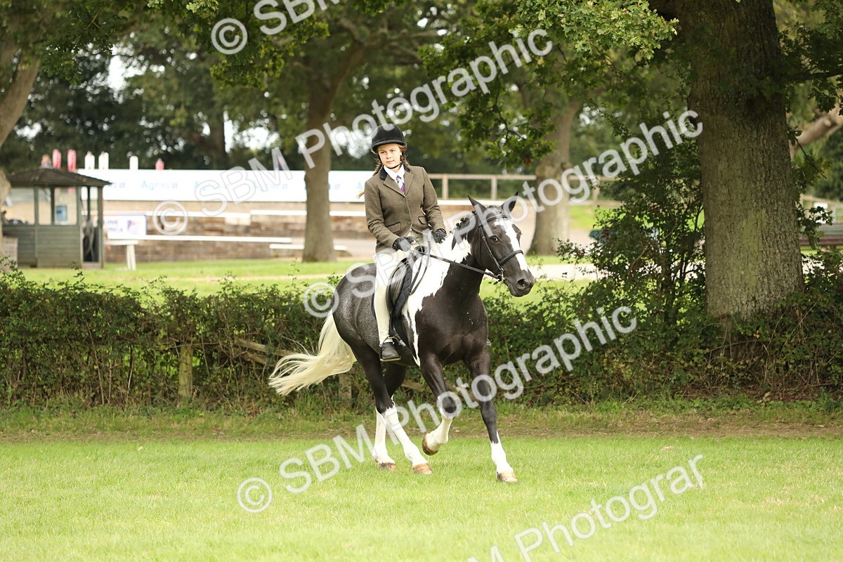 SBM_71619 - S41 - Ridden Equitation (Best Rider)