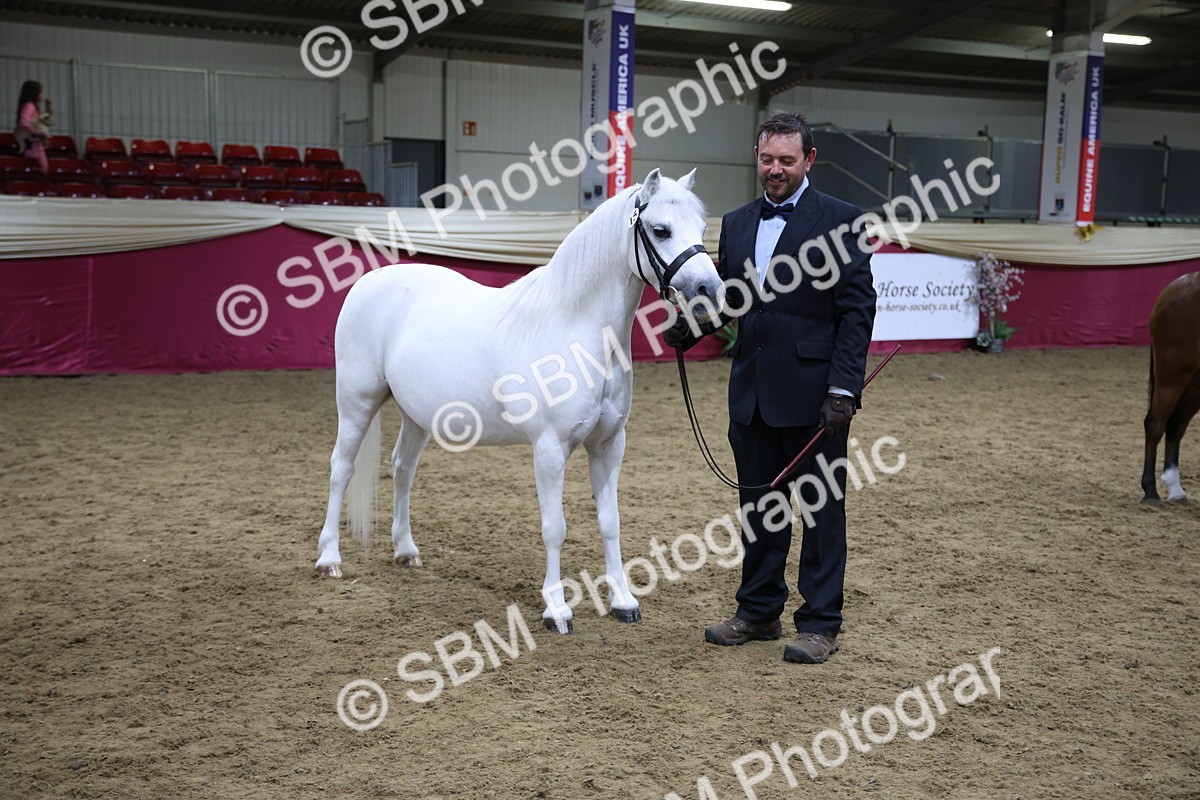 SBM_18617 - Class C Best Turned Out Champ