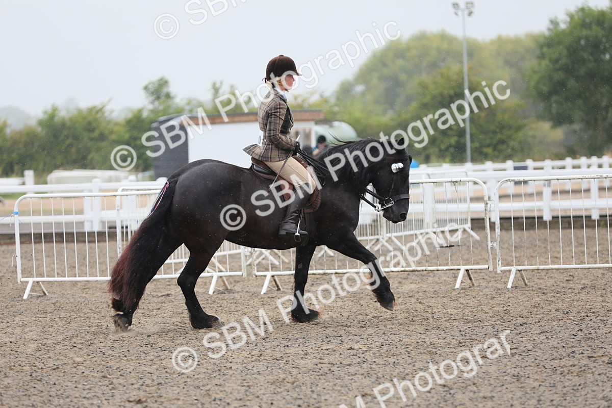 SBM_20289 - Class 803 - Ridden Combination 65+