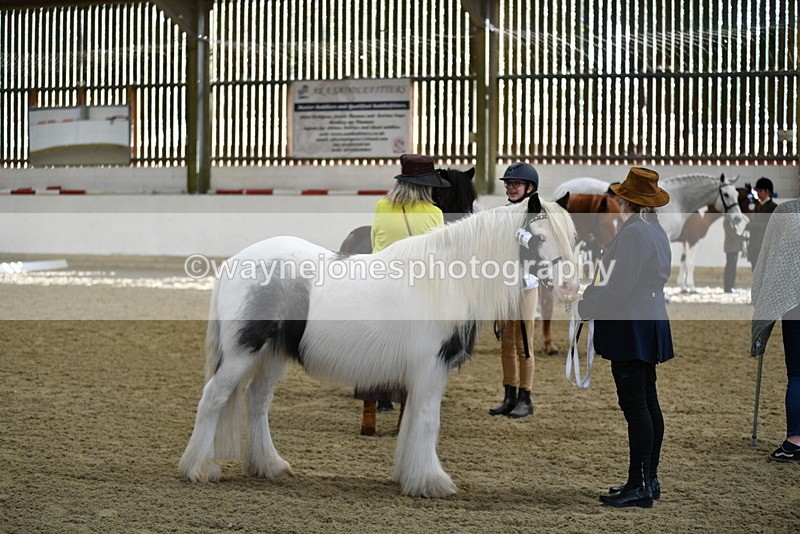 WJ5_4015 - Class 2 Best Condition In hand