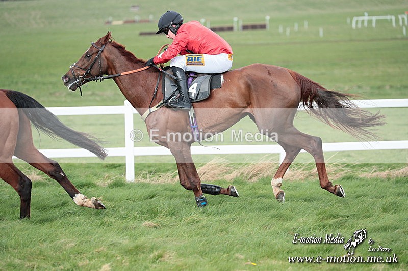 PtP 230324 456 - Tedworth Hunt PtP Larkhill Raccourse 23rd March 2024