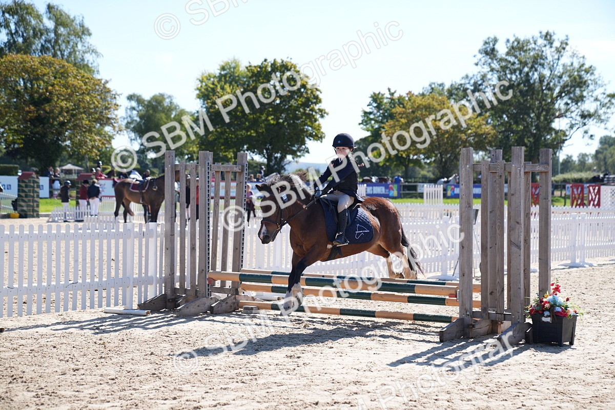 SBM_19566 - J57 - Clear Round 50cm