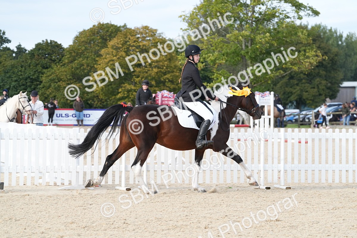 SBM_48919 - J22 - Junior Horse 65cm Championship