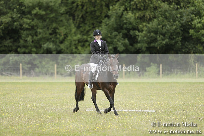 BVR160717-1148 - Class 2 Dressage 16/07/17