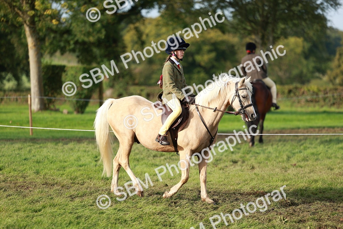 SBM_56260 - S39 - Starters In Hand Showing