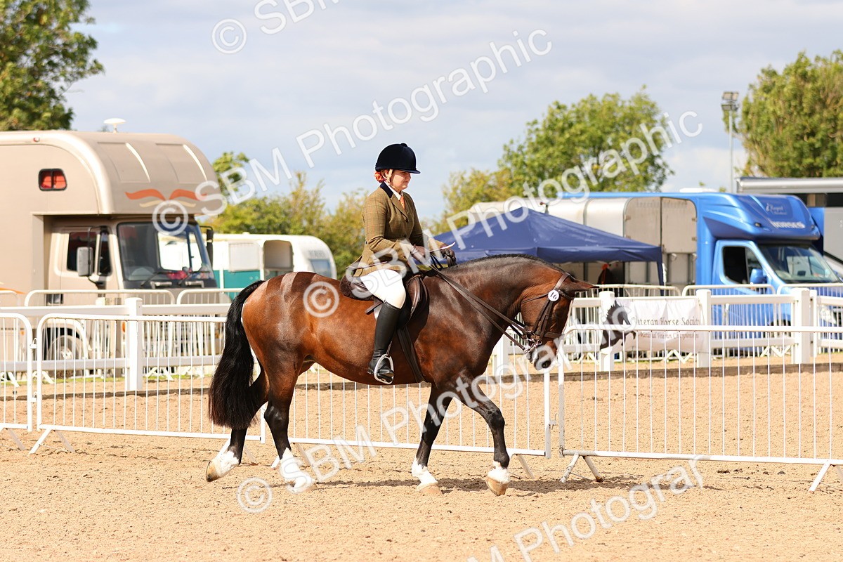SBM_15467 - Class 214 - Ridden Show Cob