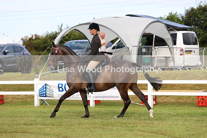 3E7A8076 - Class 2: Rising Star Large Hack/Riding Horse