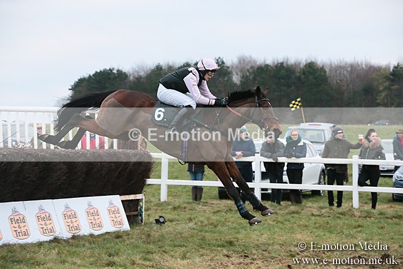 PtP 060119 599 - Larkhill Racing Club - Point-to-Point- 06/01/2019