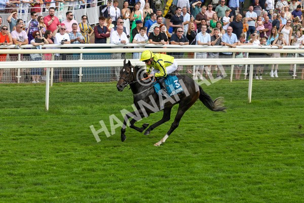 100923-Race 4-Tropical Island-3911 - Race 4 3.15pm Edge Windows Nursery Handicap at York