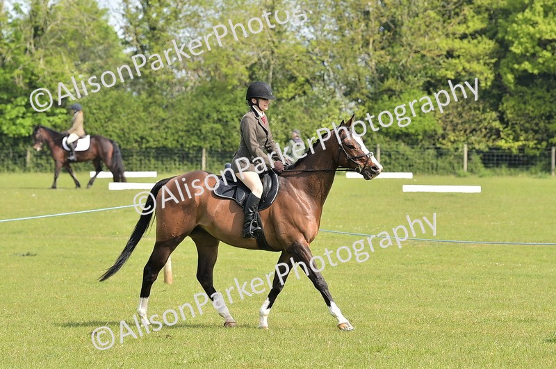 20260426-1137 - Class 19 - Retraining Of Racehorses