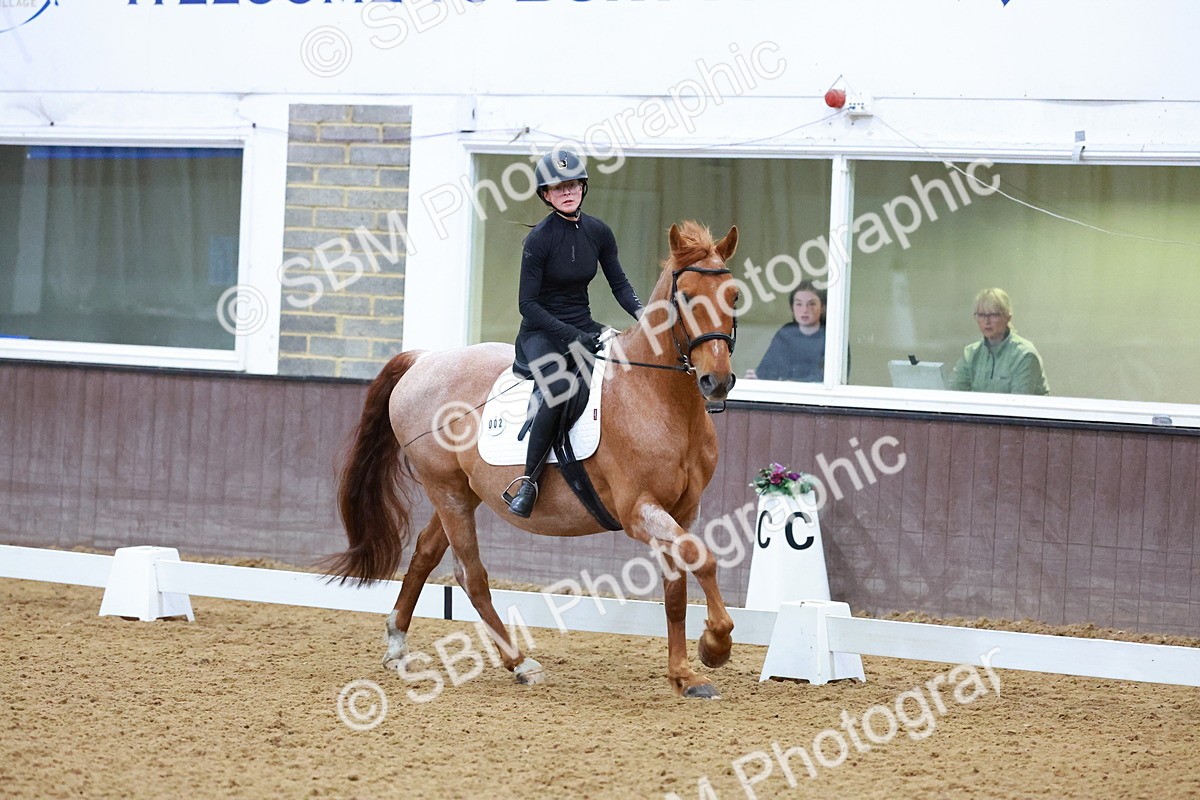 1I0A0959 - Class 3-6 - Prelim 1-Novice 2