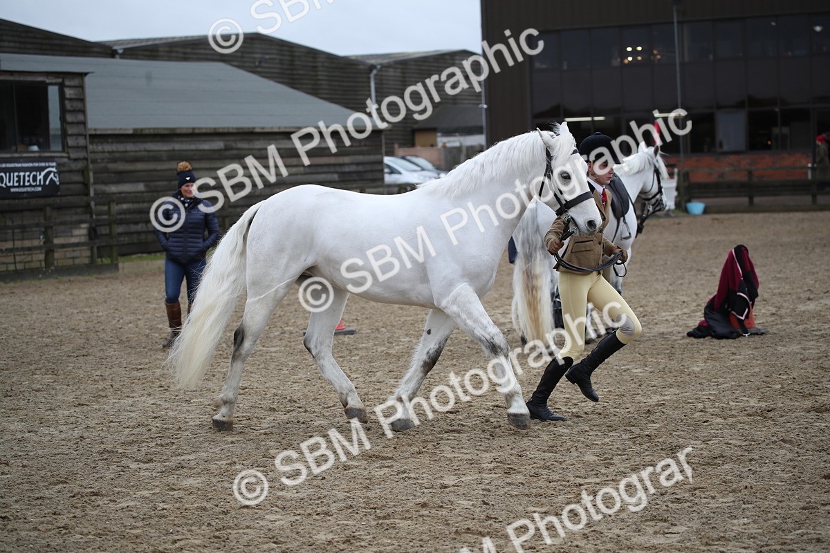 SBM_006211 - Class 10-13 - RIHS Small Large Breeds