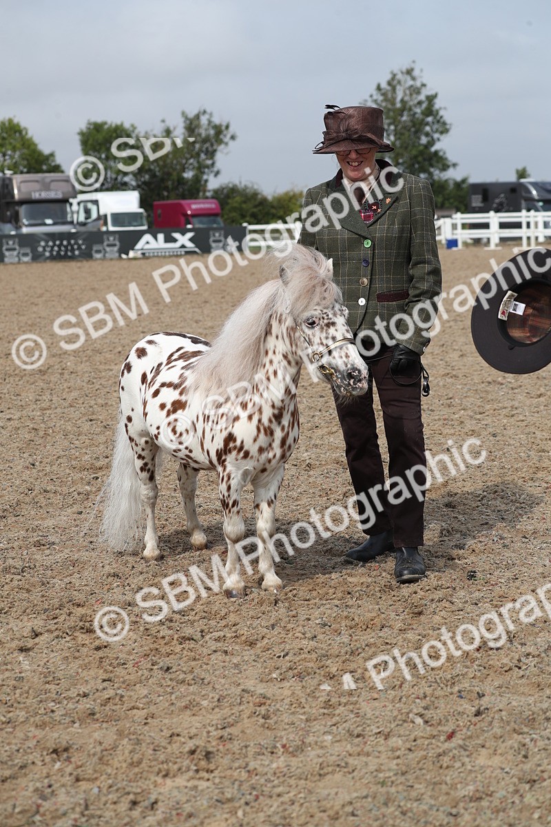 SBM_23200 - Class 605 - 2025 Area - IH Veteran