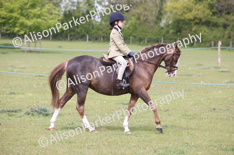 20260426-2897 - Class 33 - Best Pony 14.2hh and Under
