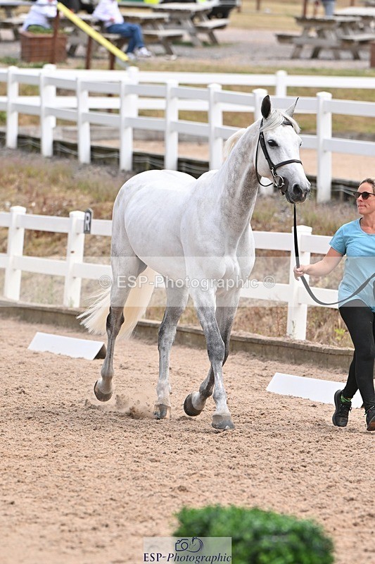 250716-142224-01045 - Trot Up 1.30 to 2.30