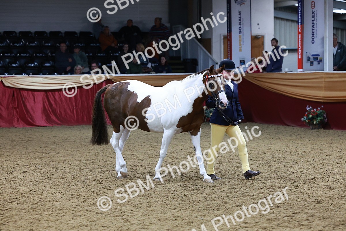 SBM_20106 - Class C - Novalty Champ