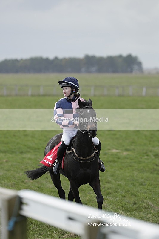 PtP 260323 1056 - New Forest Hounds Point-to-Point Larkhill 26/03/23