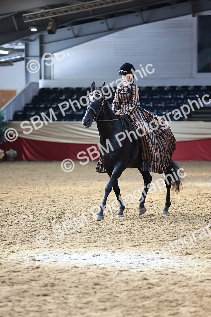 SBM_13469 - Class 104 - Ridden Costume - Astride Junior