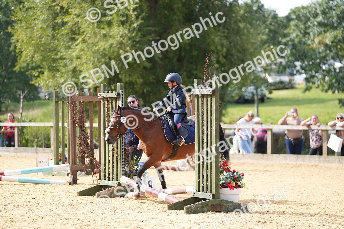 SBM_65784 - J2 - Mini Tour Junior Pony 30cm Championship
