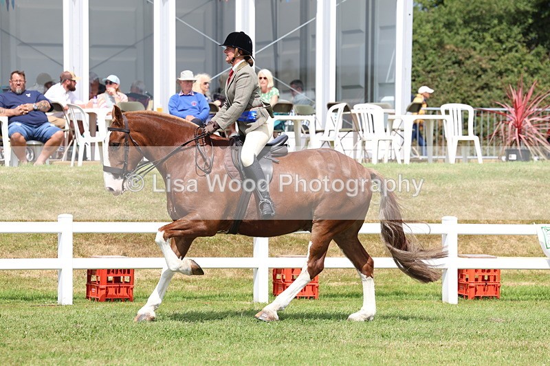 3E7A0566 - Rising Star Ridden Championship