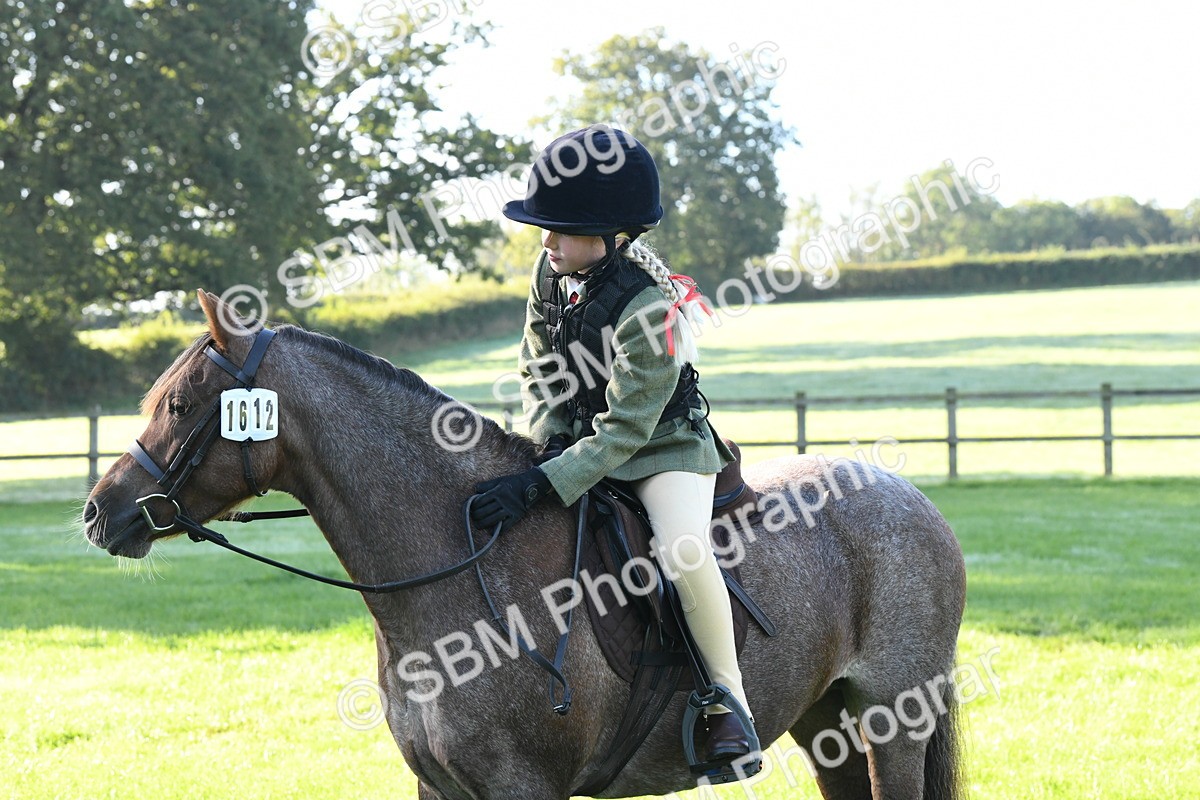 SBM_34025 - S16 - Condition & Turnout - Ridden
