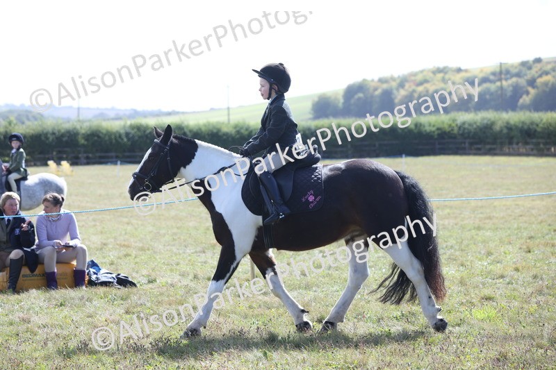 20250831-2483 - Class 16 - Family Pony