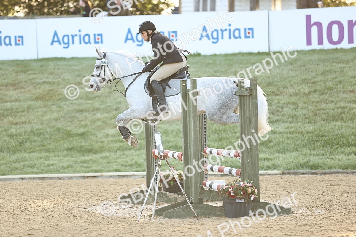 SBM_32926 - J38 - Senior 80cm Championship