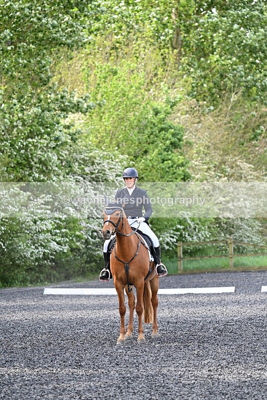 WJ7_7949 - Time 10:11 to 10:27