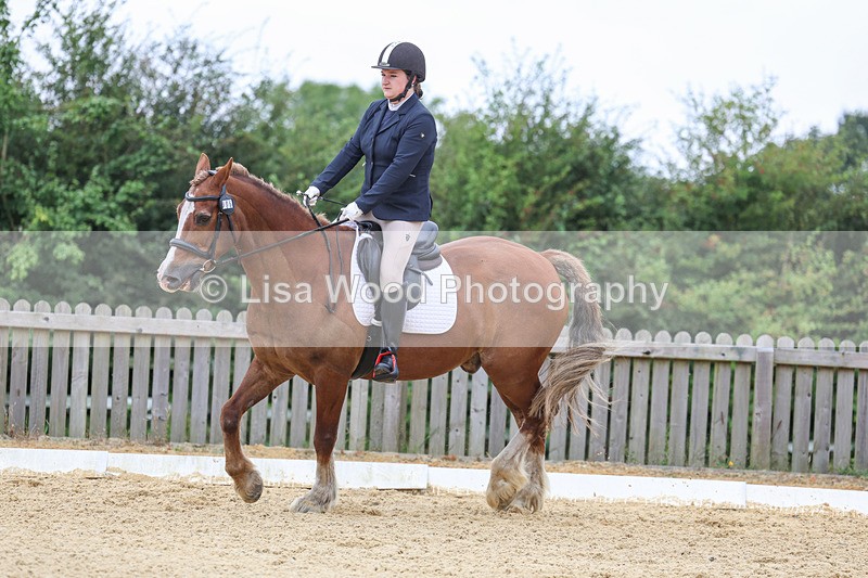 3E7A4741 - Class 1: Intro 4 2024 section A