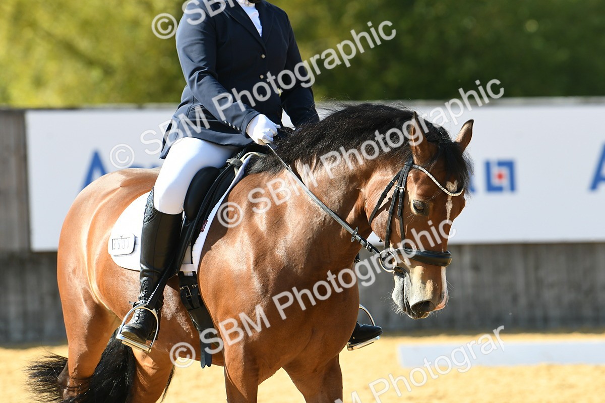 SBM_25017 - D13 - Grand Tour Championship - Prelim 12