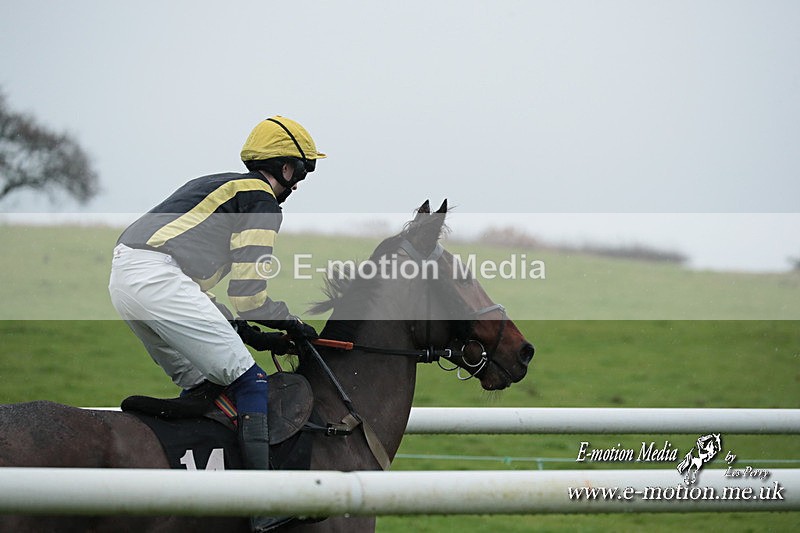PtP 031223 642 - Wheatland Hunt PtP Chaddesley Races 03/12/23