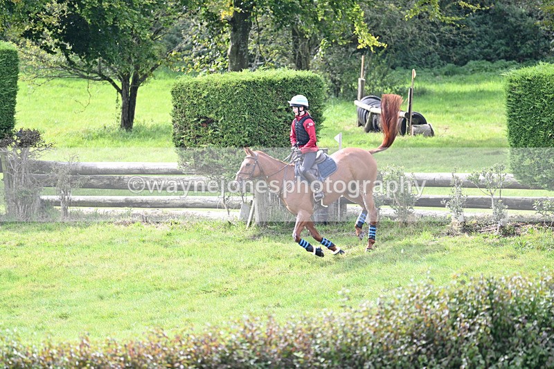 WJ7_7504 - Time 13:21 to 13:29