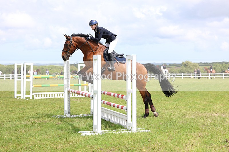 3E7A7529 - Class 13: Senior British Novice/90cm open