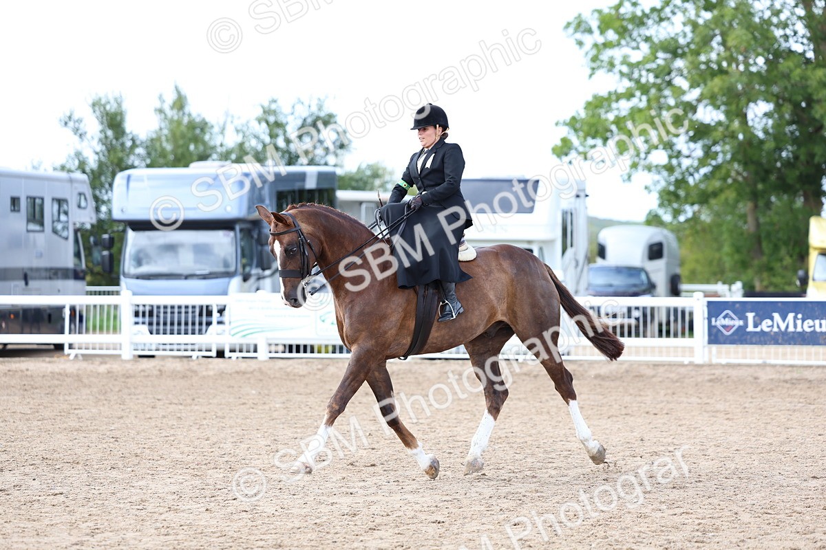 SBM_03222 - Class 22 - SSA Equitation (any age)