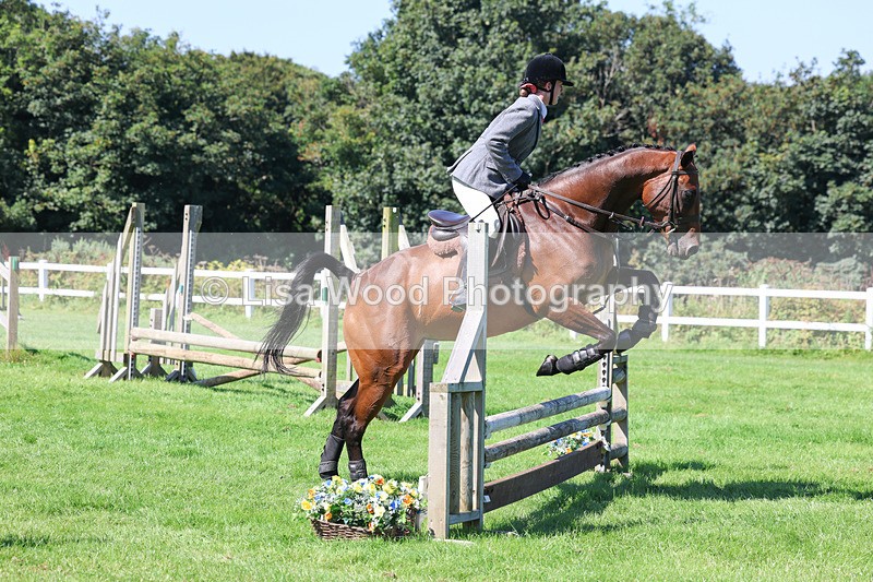 3E7A8306 - Class 4: Novice working Hunter