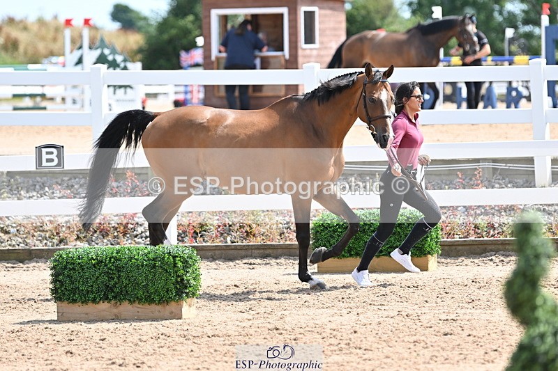 240717A-151012-02607 - Trot Up 3pm to 4pm