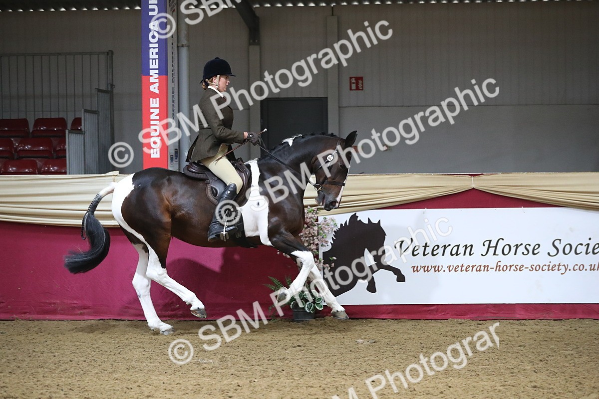 SBM_10378 - Class 102 Equitation (best rider) Adult