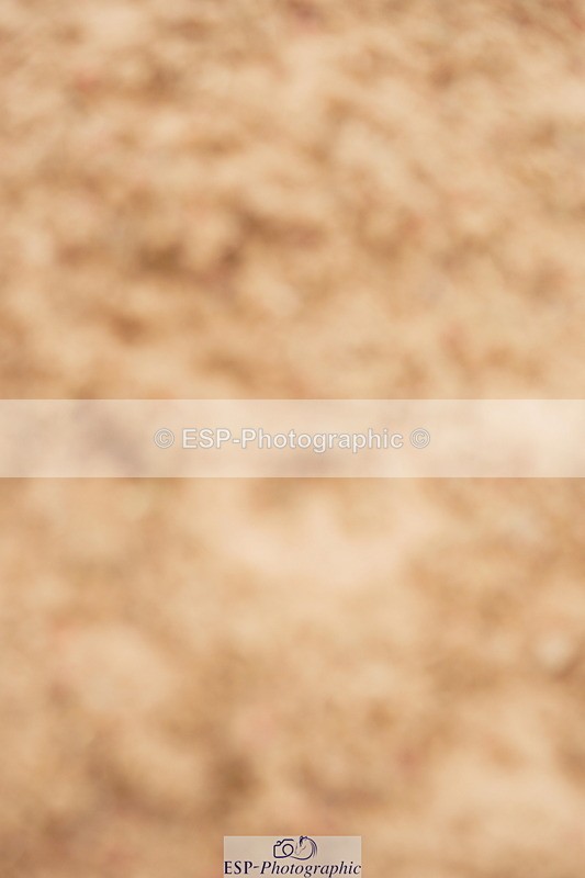 240524A-123856-03607 - Cls 15 Foxhunter