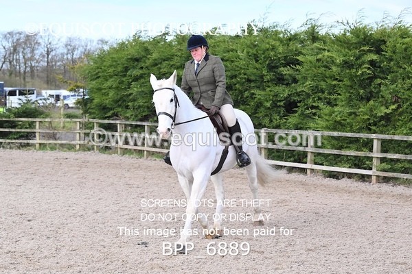 BPP_6889 - RING 1  (RIDDEN HORSES / IN HAND / VETERAN ETC)