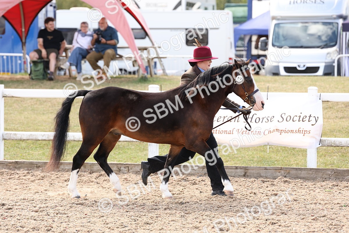 SBM_15033 - Class 209 - IH Veteran Pony