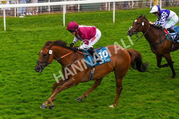 170623-Race 6-Mostawaa-0892 - Race 6 4.50pm Ice Co Supporting Macmillan Handicap