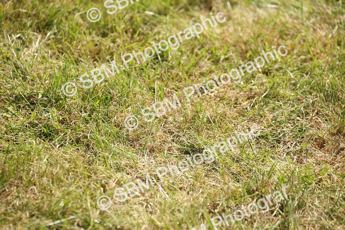 SBM_09130 - Class 31-32 - SSADL Members Challenge