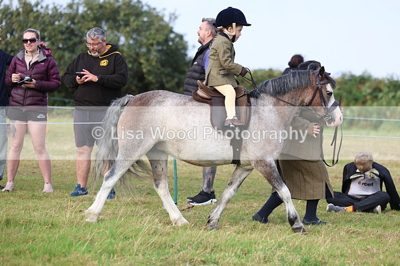 3E7A3386 - Class 2: Lead rein