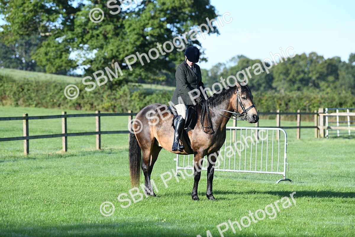 SBM_33993 - S16 - Condition & Turnout - Ridden