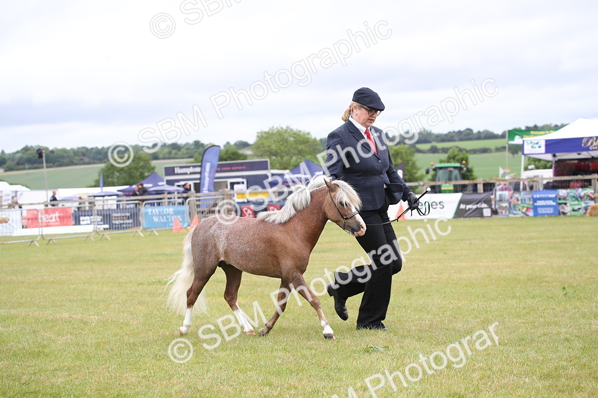 SBM_03807 - Class 23-25 - British Miniature Horse of the Year