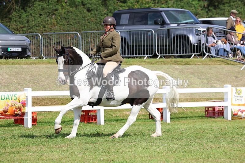 3E7A9747 - Class 5: Rising Star Lightweight/Heavyweight Cobs